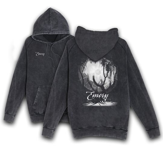 Acid Jung Hoodie